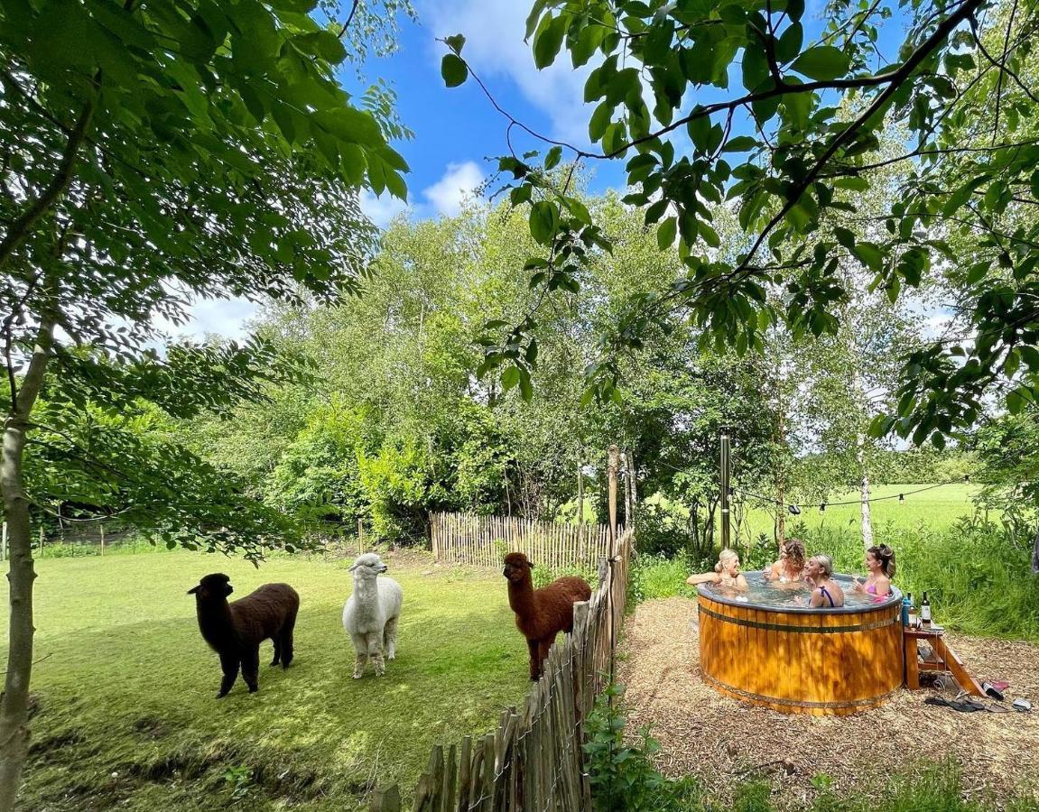 Wereldse Bell Tenten Met Alpaca's * Paasloo